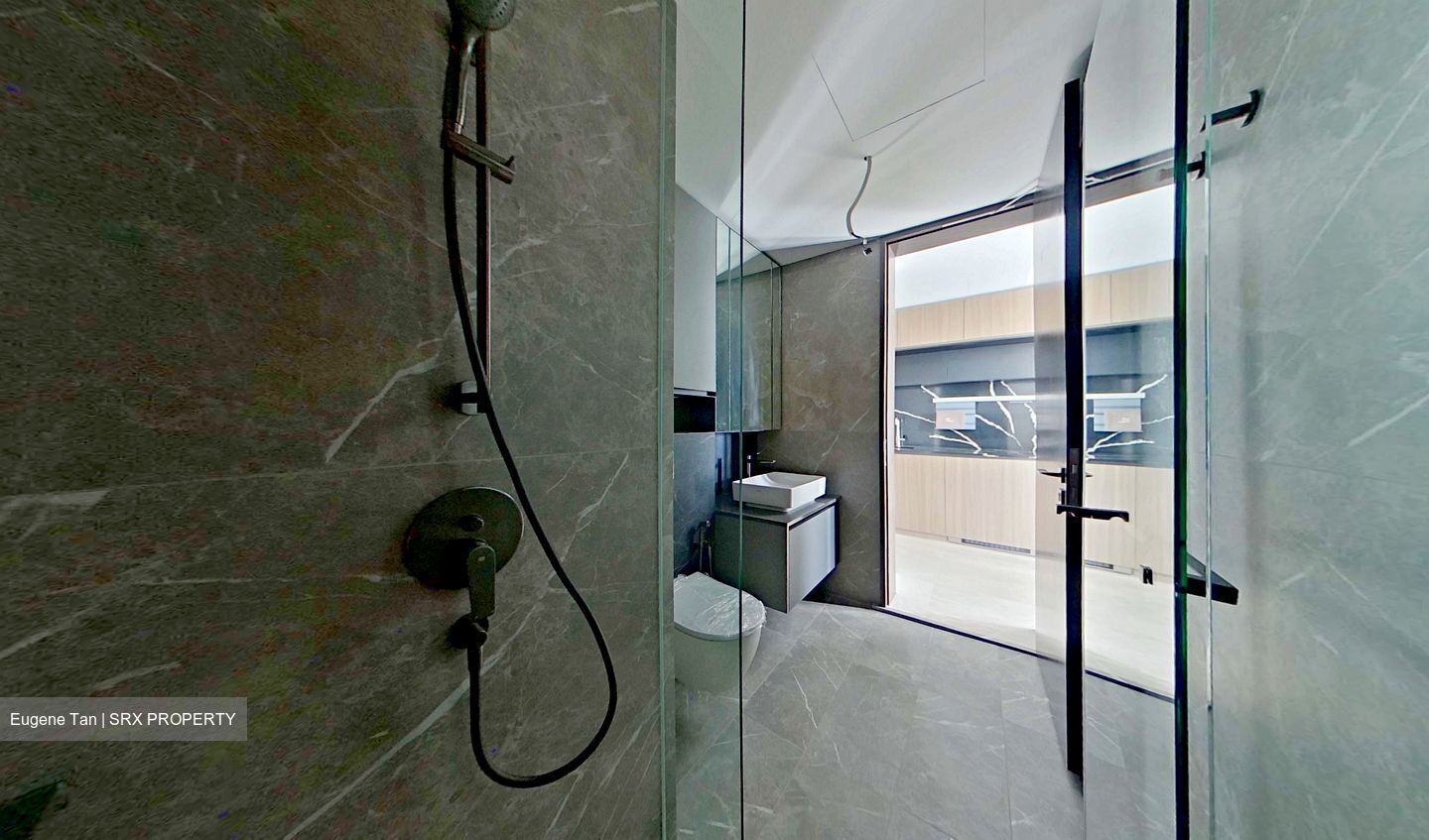 Irwell Hill Residences (D9), Apartment #621152561